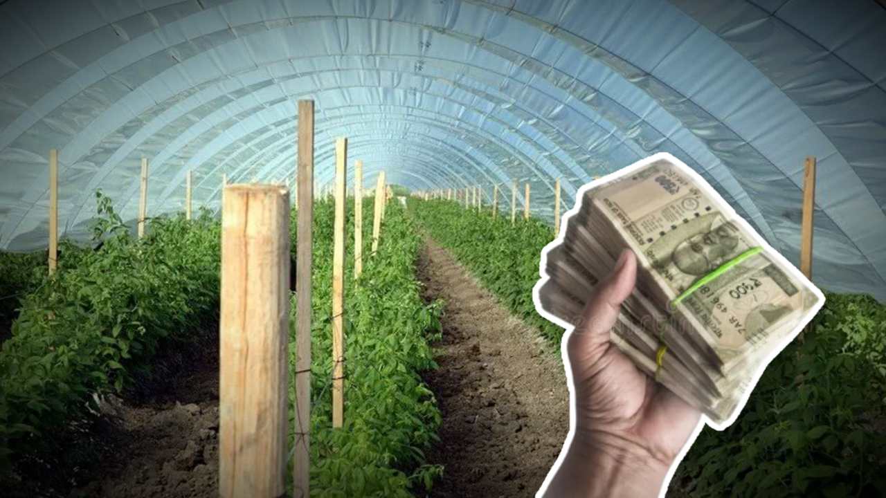 organic farming business