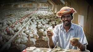 start poultry farming business and earn upto rs 2 lakh every month