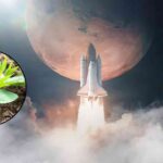 isro harvesting in space