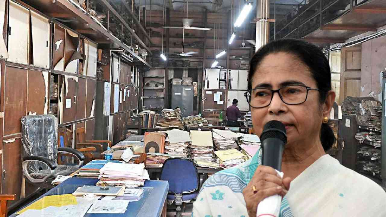 mamata