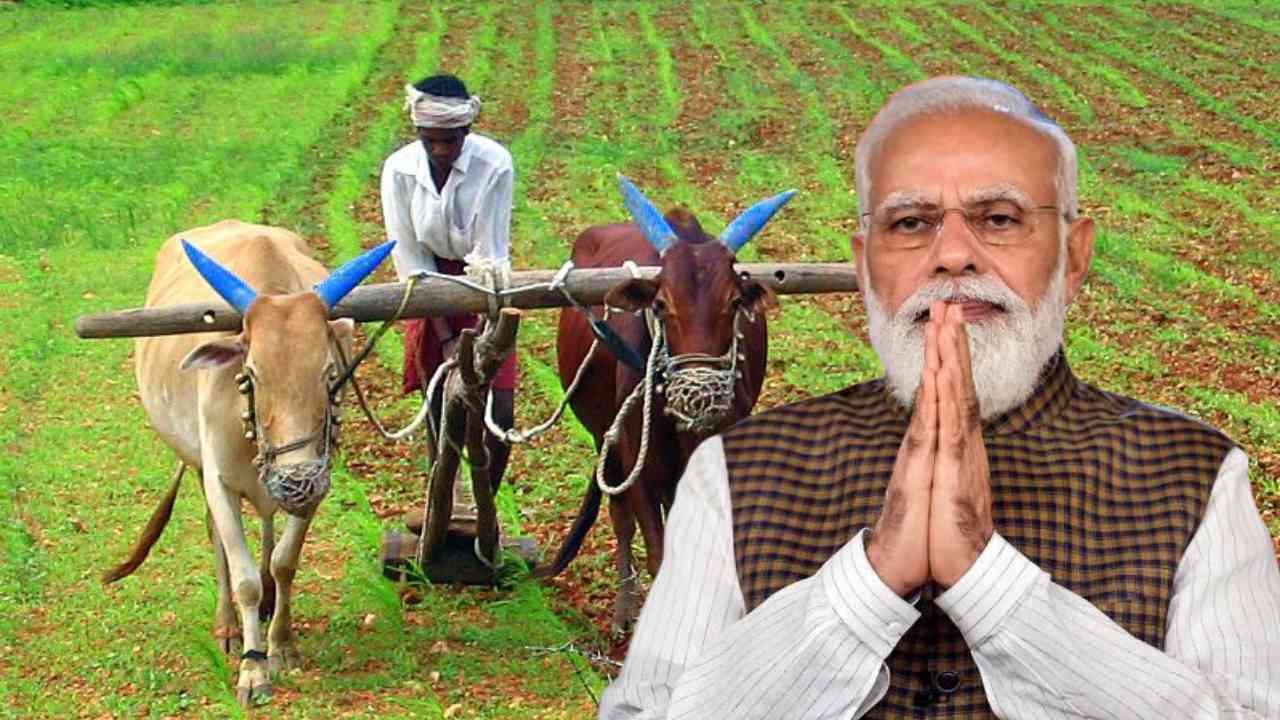 pm kisan