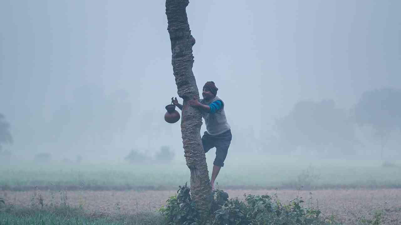 south bengal weather