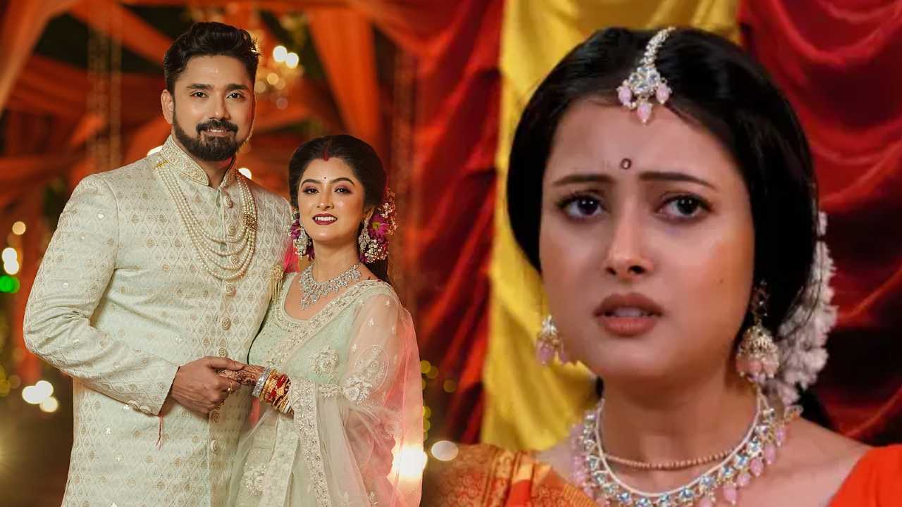 neem phooler madhu serial might end soon