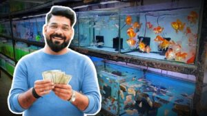 Start Gold Fish Farming Business to Earn Rs 50000 a month