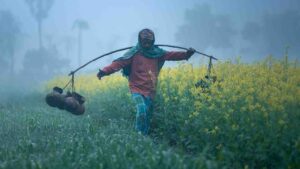 south bengal weather winter