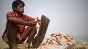 5-year-old child dies in Bangladesh after eating Potka fish