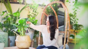 Bring these three Cooling plants home today to escape the heat