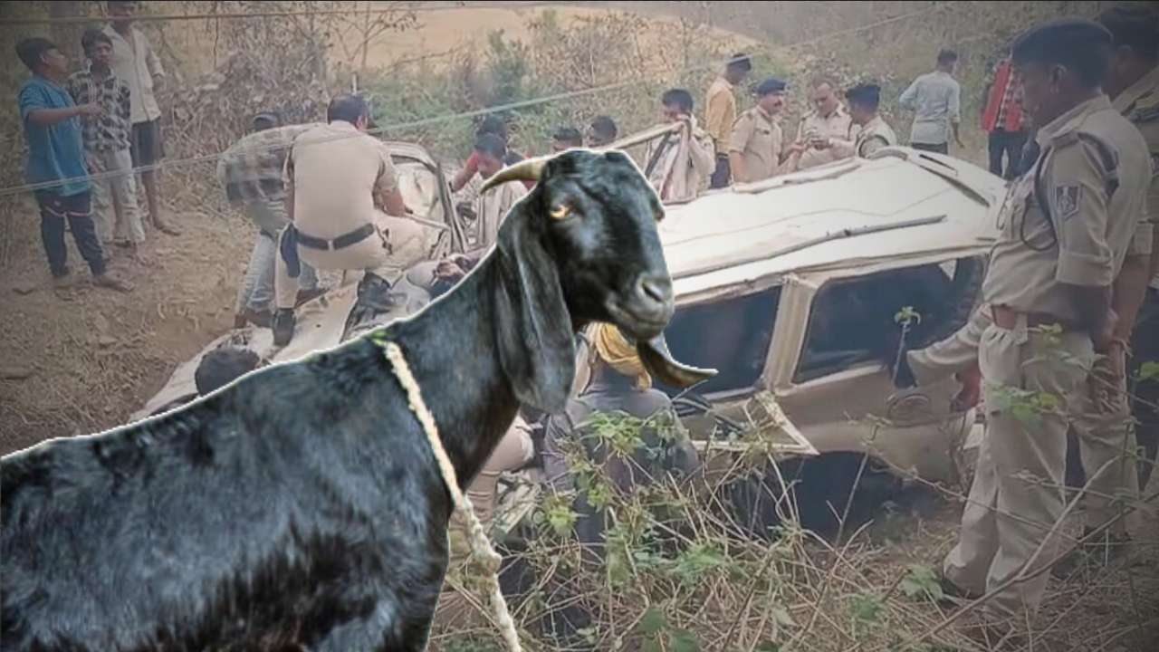 Car accident in Madhya Pradesh! Four dead, goat survives