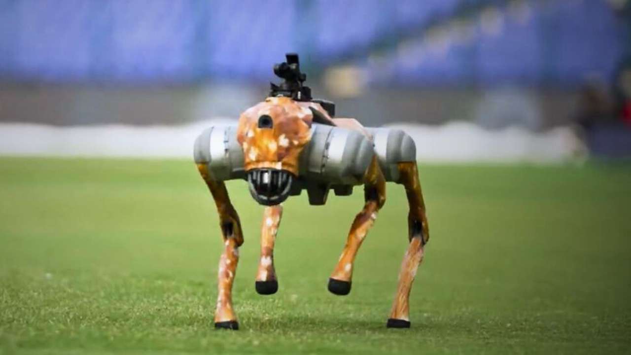IPL brings robotic dog camera