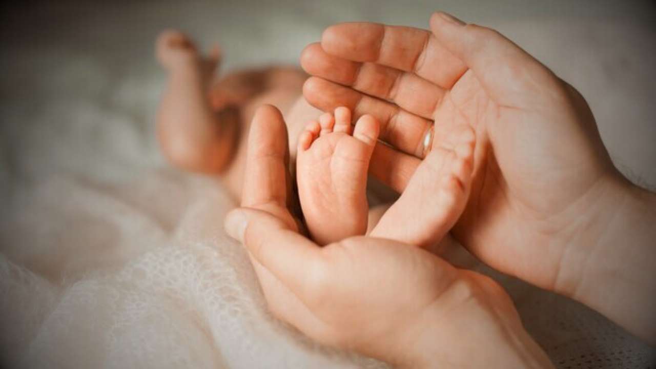 The wealth of a 17-months-old baby is Rs 214 crore.