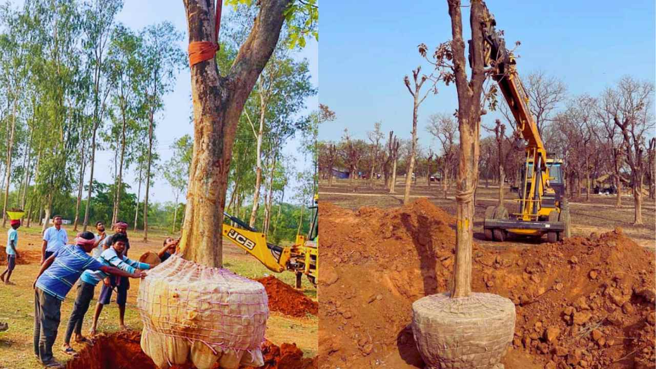 Birbhum Deocha Pachami