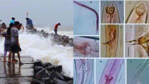 Digha