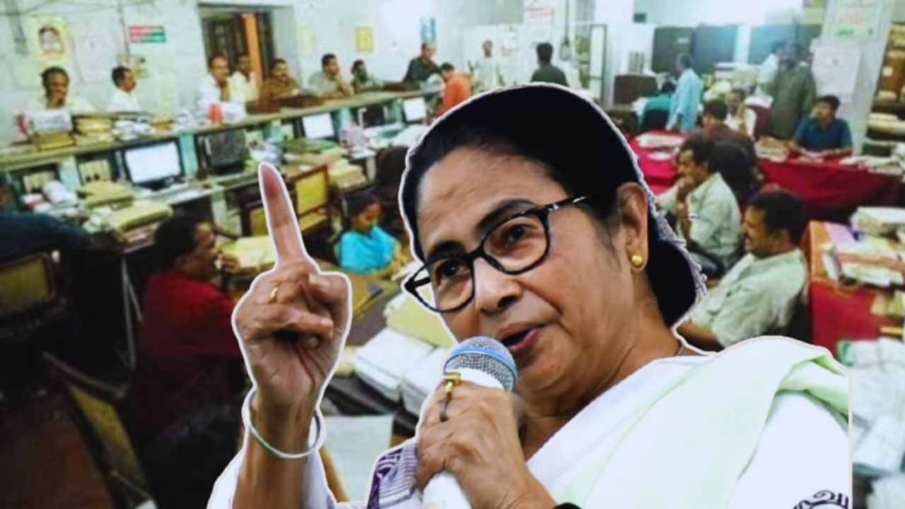 Government Employees