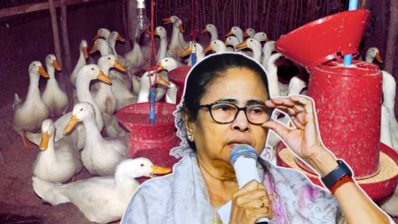 Mamata Banerjee