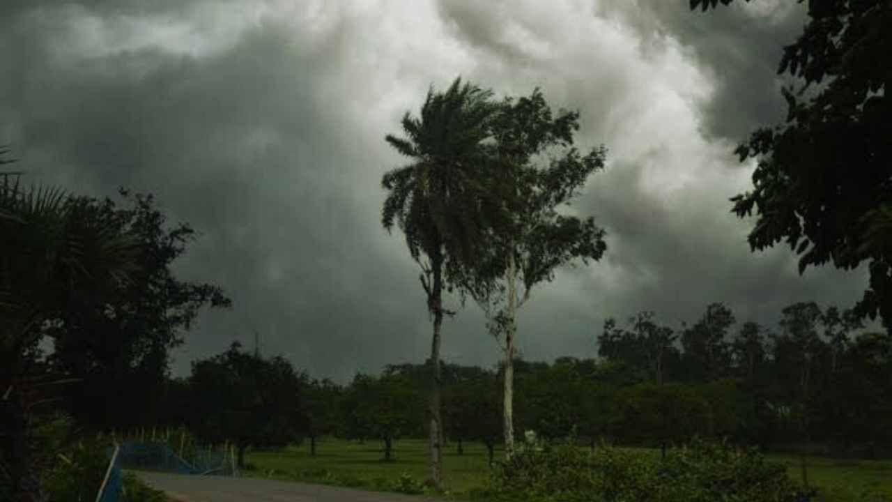 Weather Update