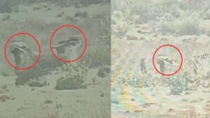 Pakistani soldiers fleeing for their lives in fear of BSF, viral photo