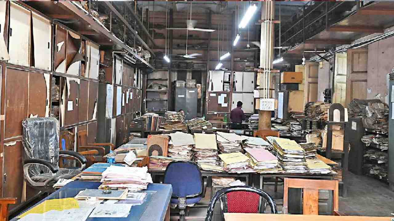 bengal da