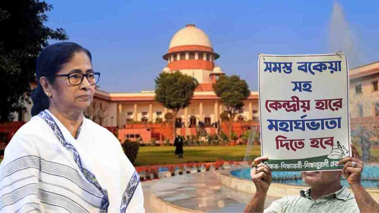 bengal da case