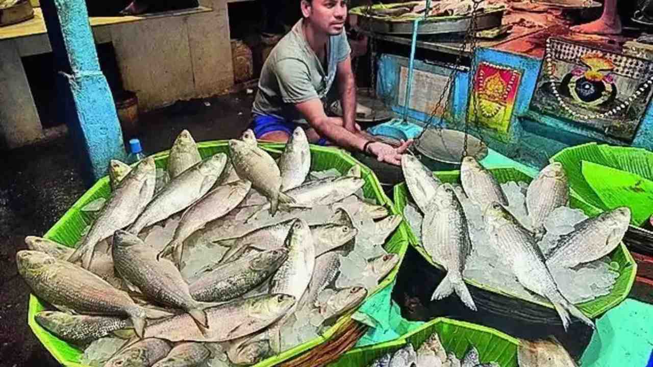 ilish sufal bangla