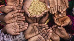 ration system
