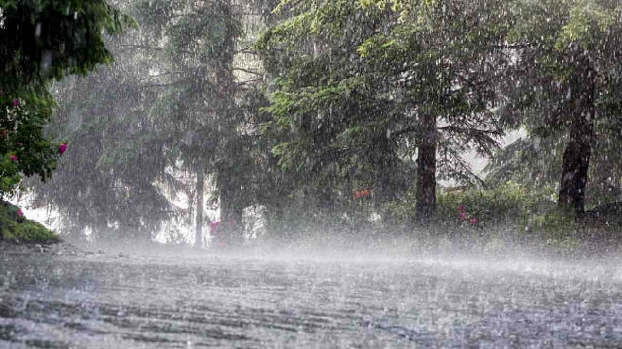 weather today