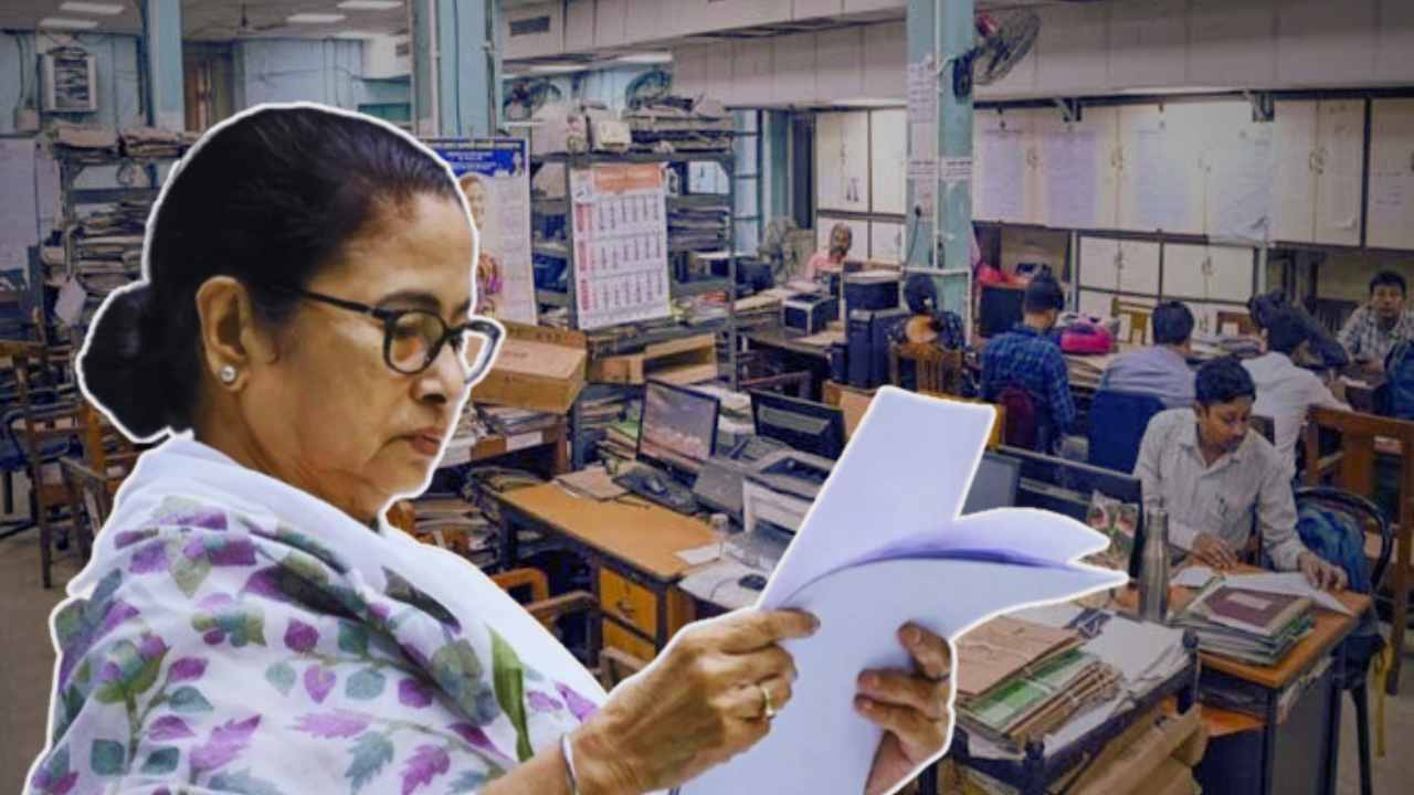 Government Employees