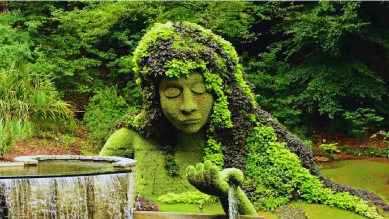 Howrah Botanical Garden