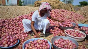 Onion Price