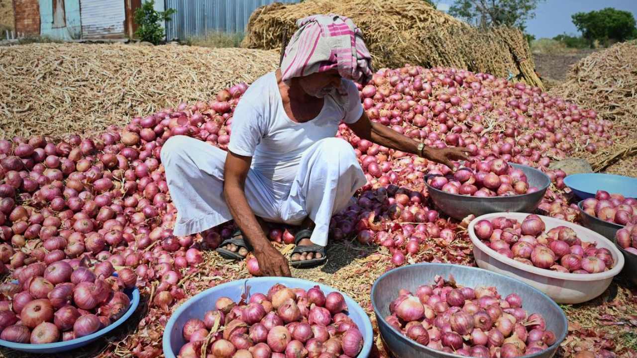 Onion Price