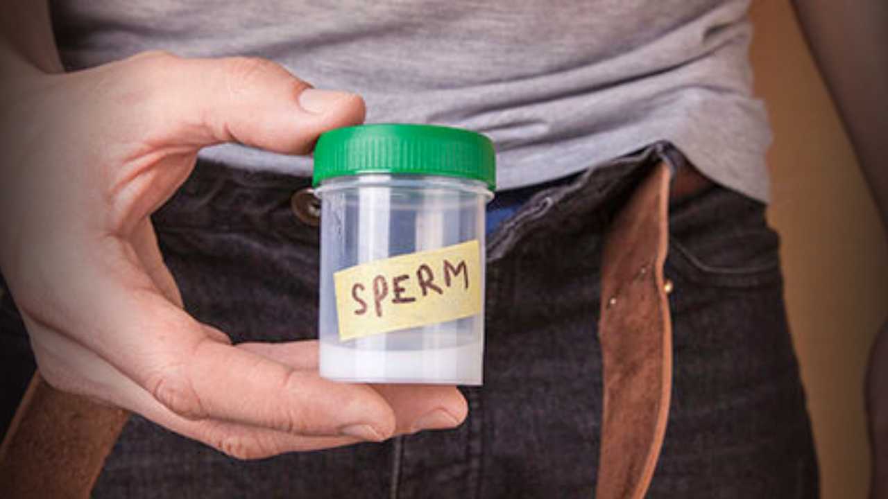 Sperm donation