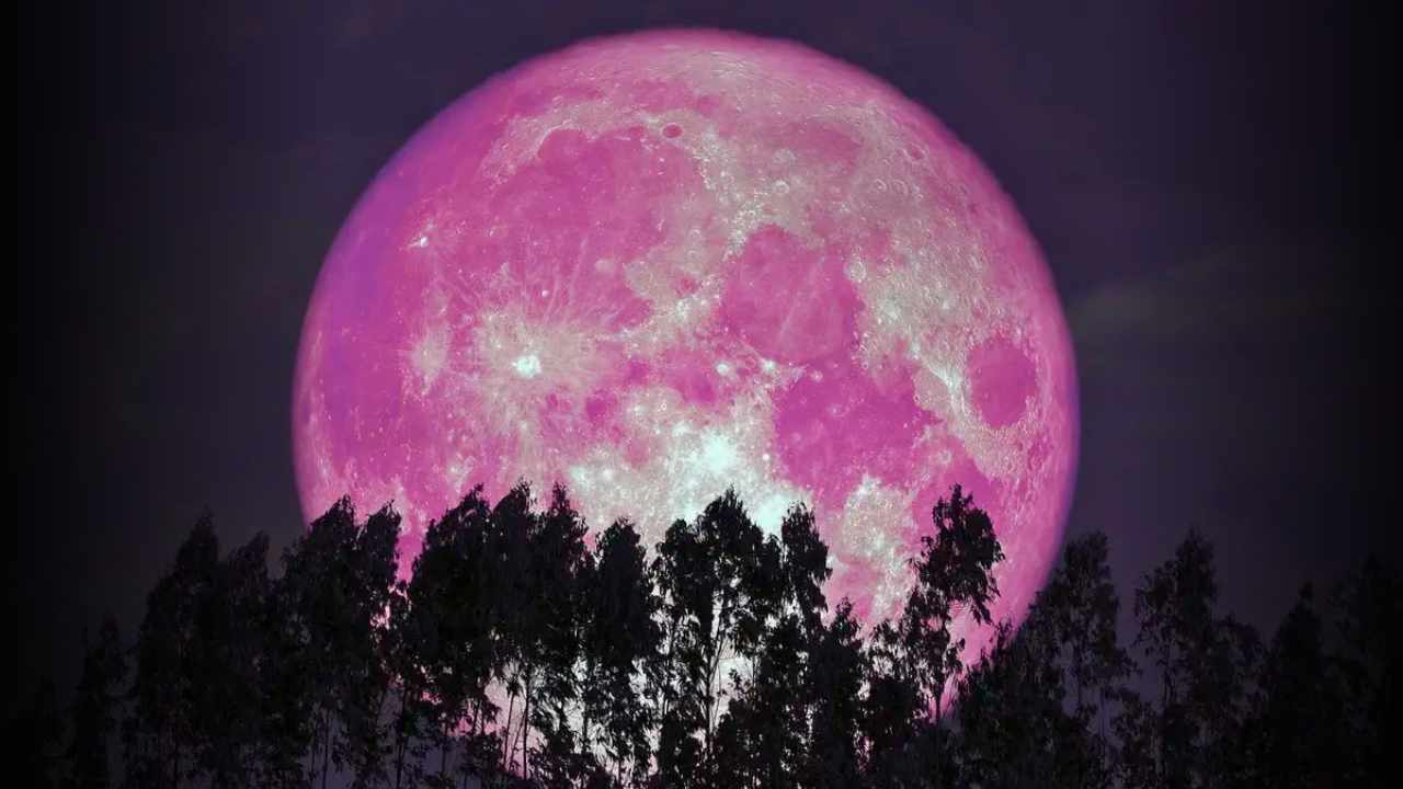 Strawberry Moon