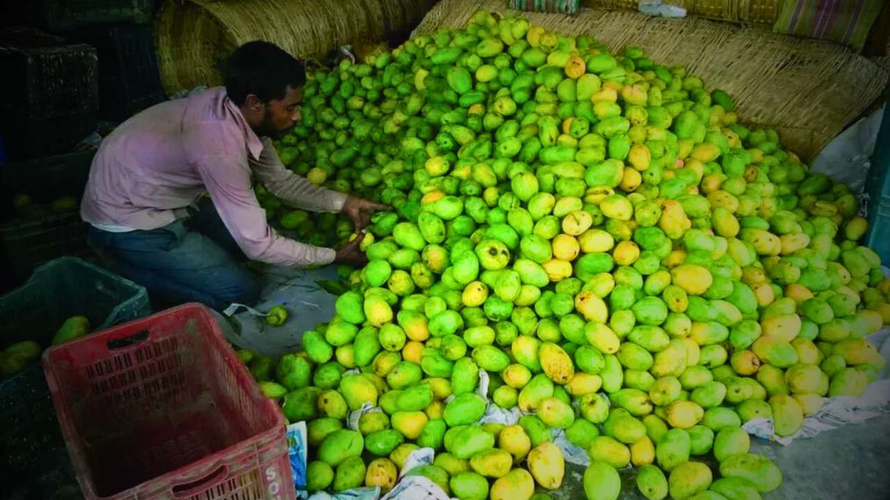 Vendors earn Rs 7 lakh in just four days at Malda mango fair