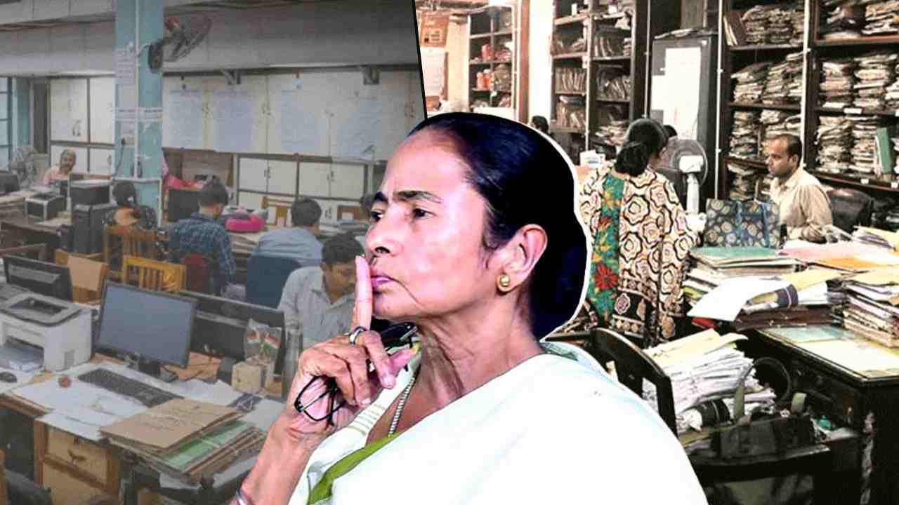 bengal DA