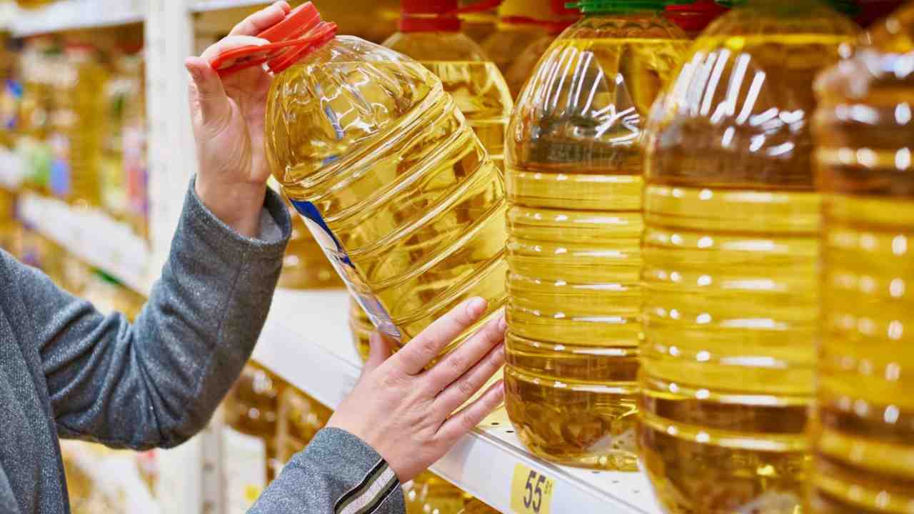 canola oil