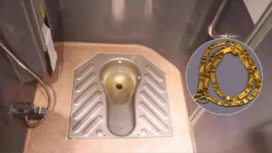 gold chain recover from train toilet