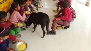 midday meal