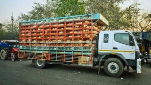Chicken Supply Disruption