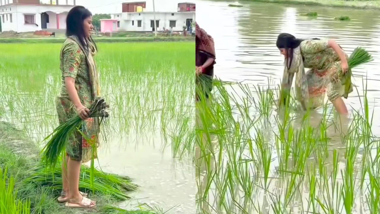 Rinku's future wife Priya Saroj farming video