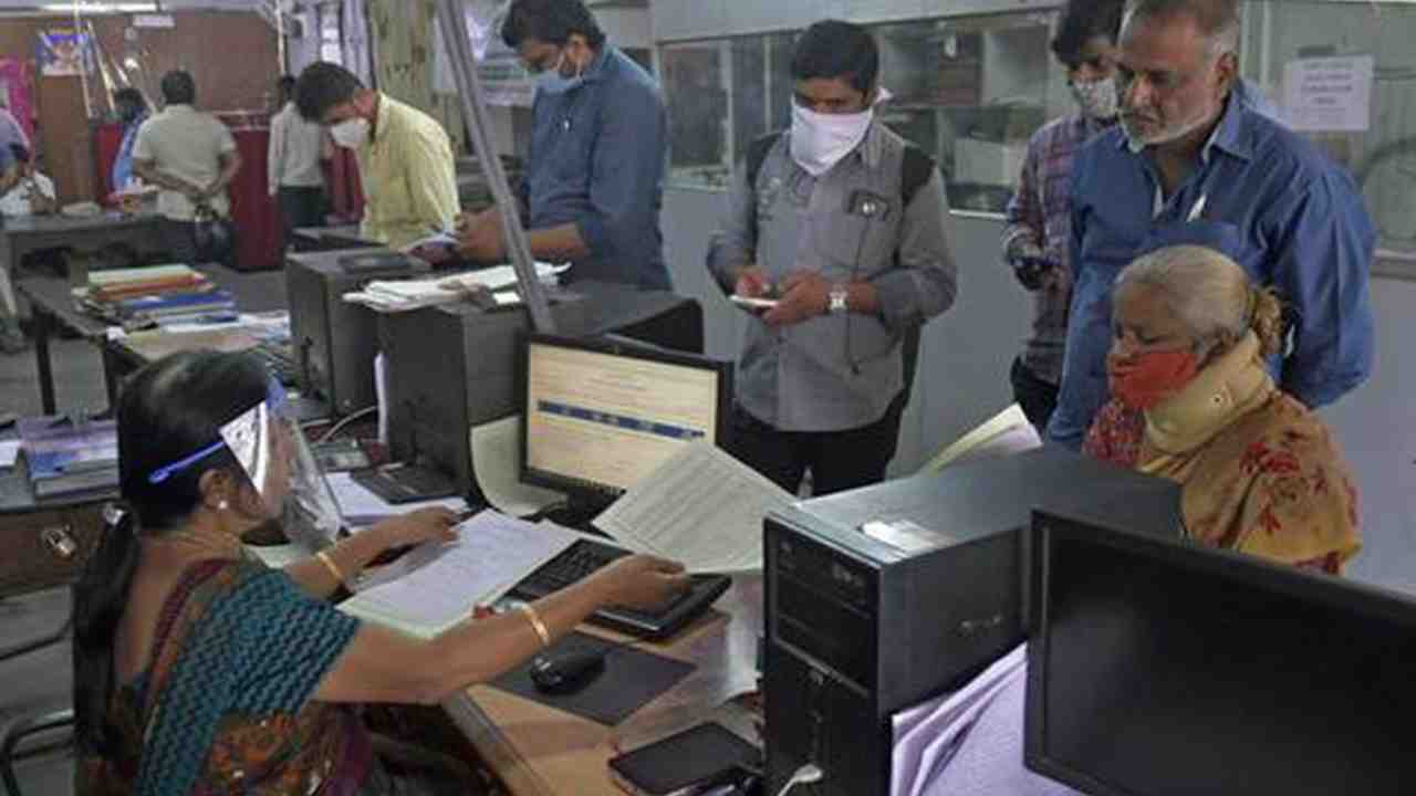 government employee (1)