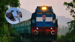 janaki express crow fighting
