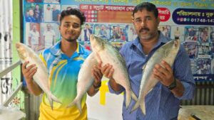 padma river ilish
