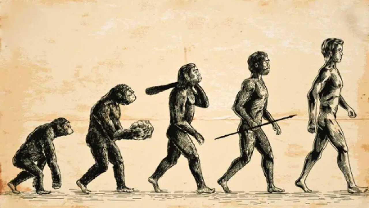 Legal notice issued against Darwin theory of evolution in Bangladesh