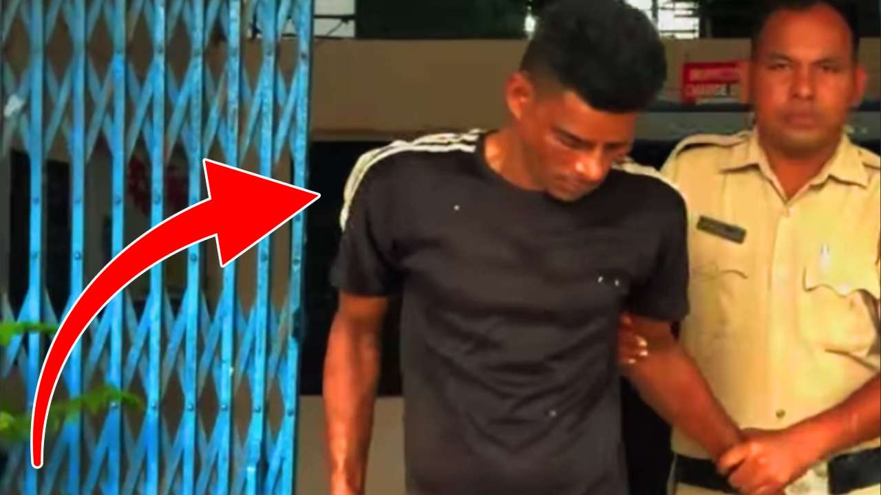 One accused arrested for Cruel treatment with livestock Siliguri crime