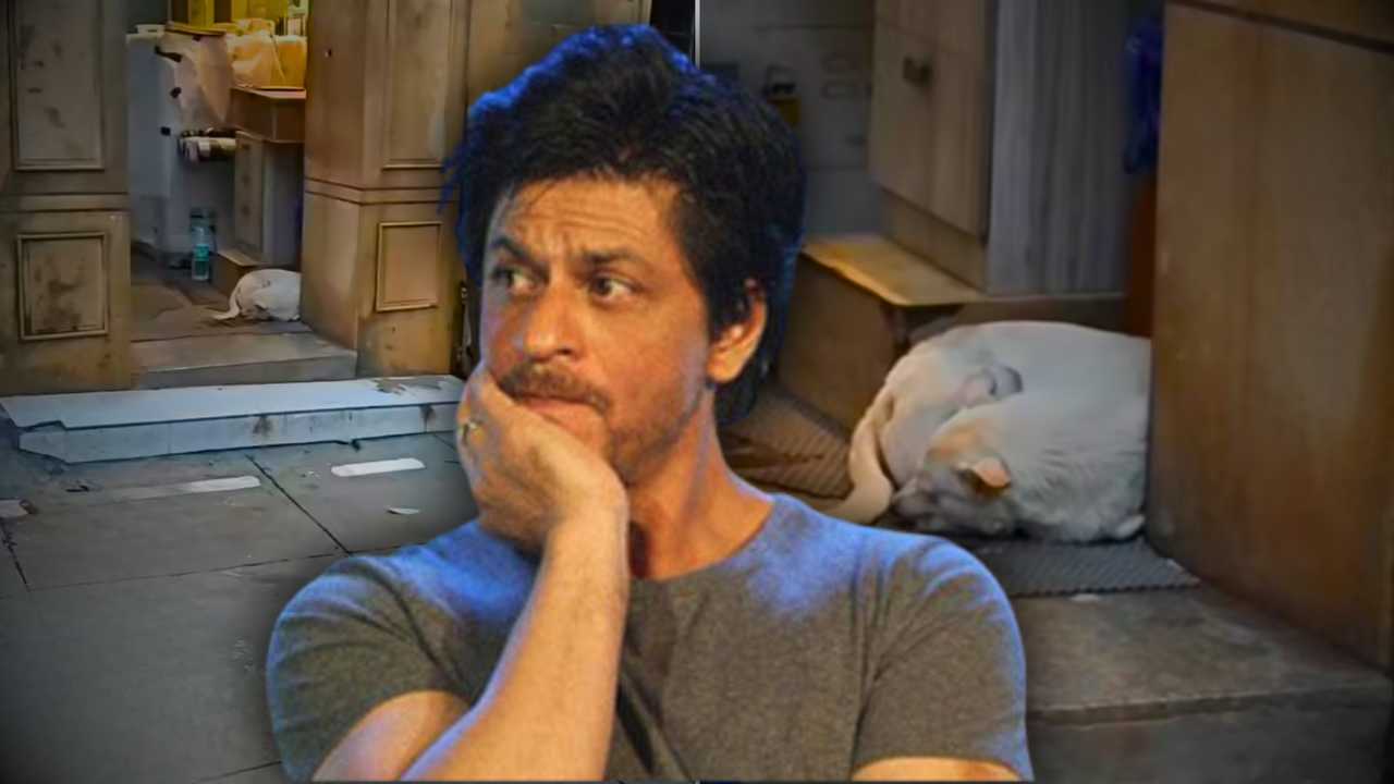 Shah Rukh Khan
