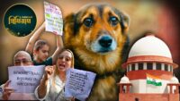 Stray Dogs Supreme Court