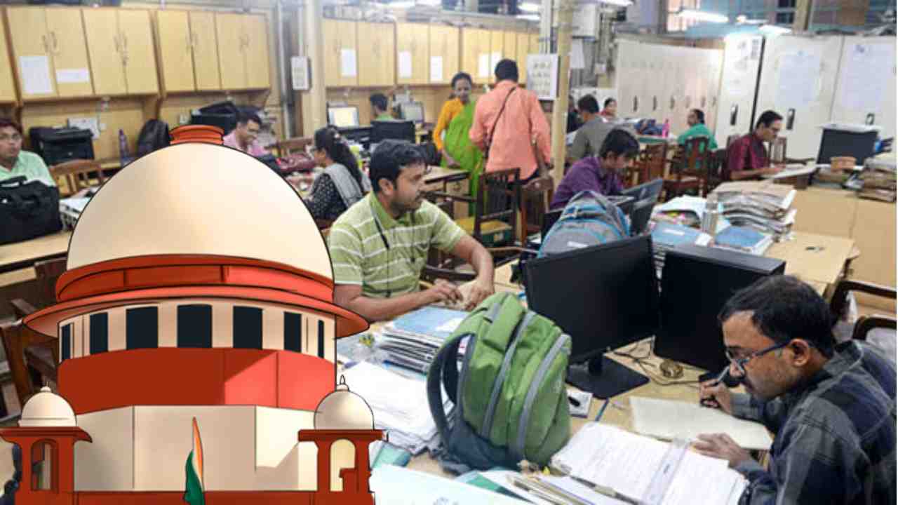bengal da case