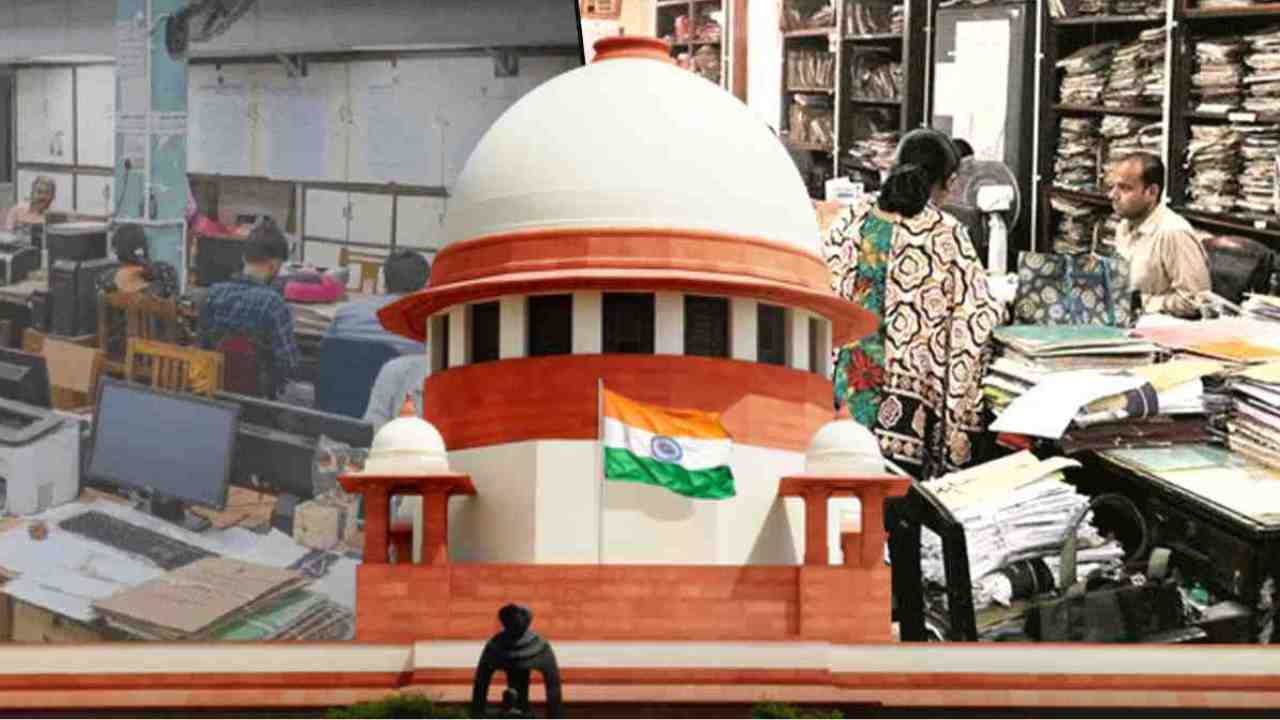 bengal da case