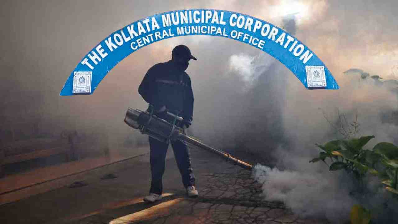 dengue in kolkata