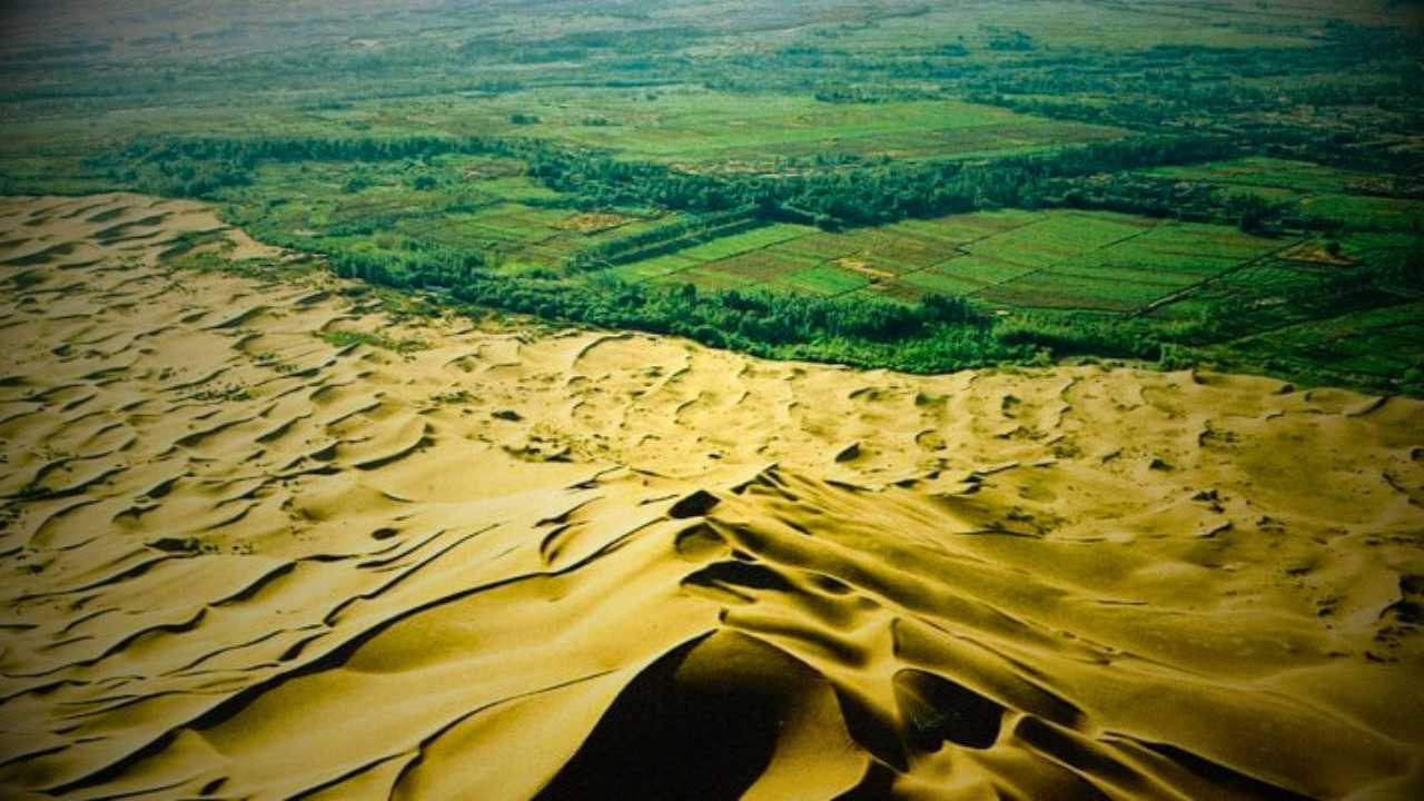 China Great Green Wall to prevent desert storm