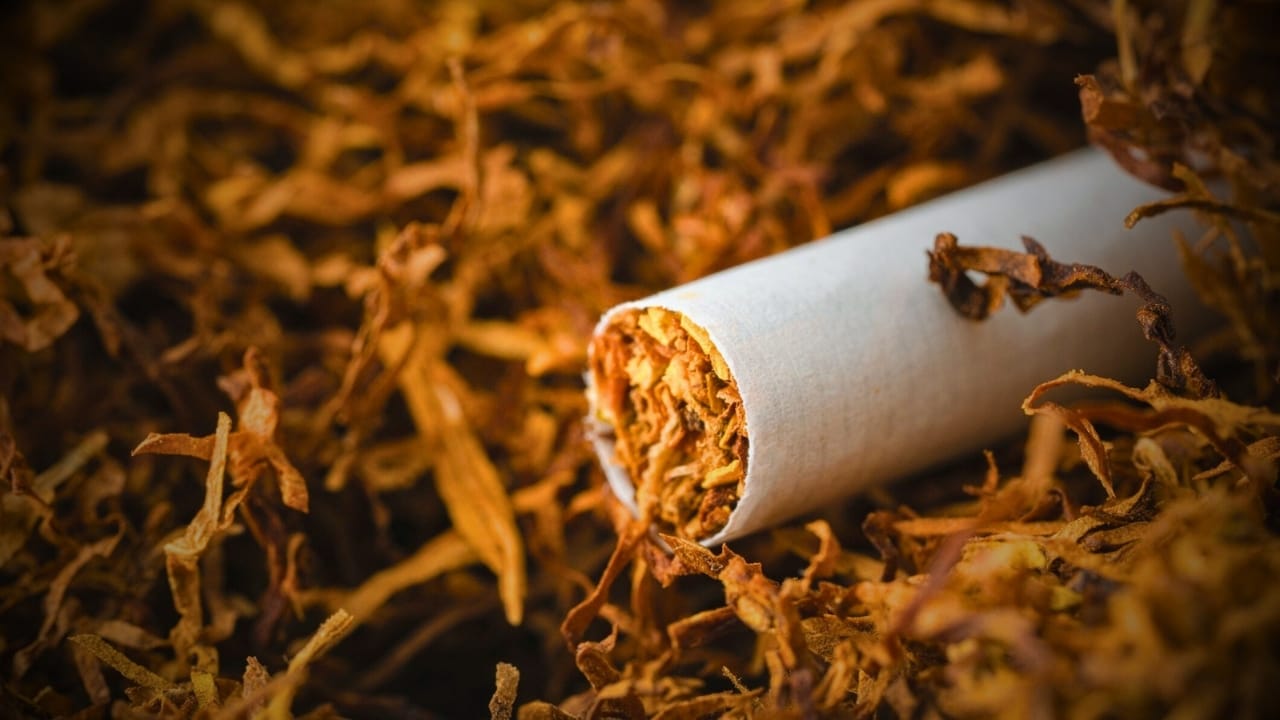 GST On Tobacco 40 percent ITC Share price Decreased by over 2 percent